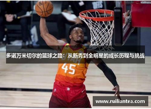 多诺万米切尔的篮球之路：从新秀到全明星的成长历程与挑战