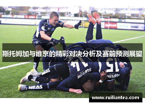 斯托姆加与维京的精彩对决分析及赛前预测展望