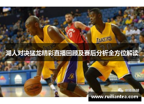 湖人对决猛龙精彩直播回顾及赛后分析全方位解读