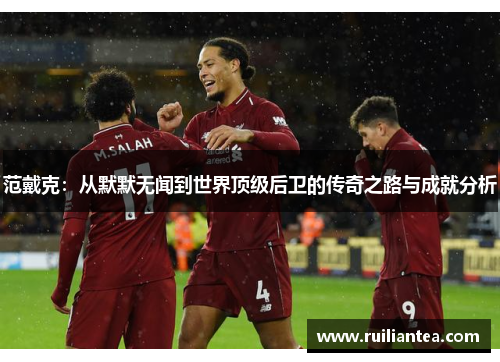 范戴克：从默默无闻到世界顶级后卫的传奇之路与成就分析