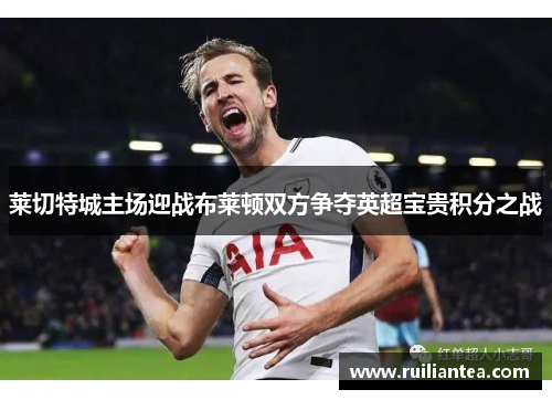 莱切特城主场迎战布莱顿双方争夺英超宝贵积分之战