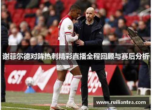 谢菲尔德对阵热刺精彩直播全程回顾与赛后分析