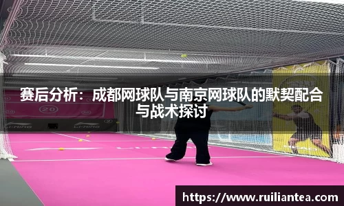 赛后分析：成都网球队与南京网球队的默契配合与战术探讨